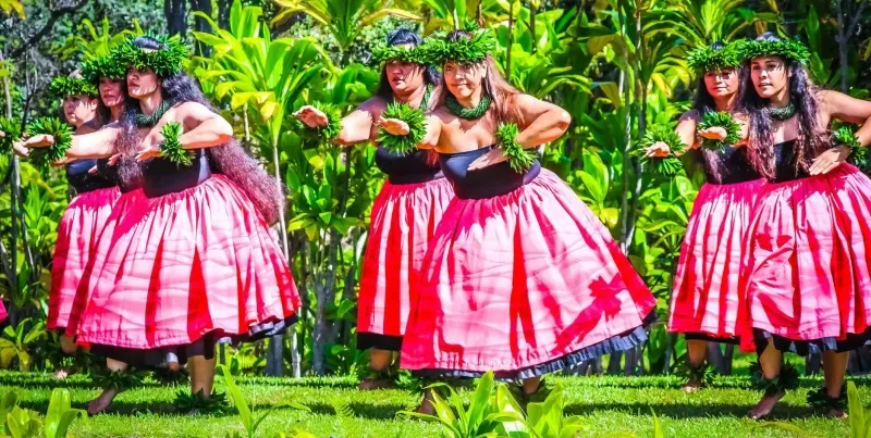 Hula dancers in pink pāʻū skirts and green leaf lei dancing on a lawn in front of tropical foliage