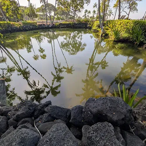 Kahaluʻu Lagoon